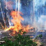 Incendio en el Dos Banderas amenazó a viviendas