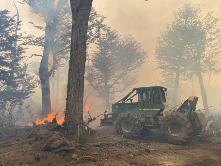 Vialidad Provincial continúa trabajando con maquinaria en distintos sectores afectados por el incendio en el corazón de la isla. Junto a empresas y particulares se coordina un trabajo que demanda un gran despliegue de maquinaria de gran porte para realizar cortafuegos que impidan el avance del fuego.