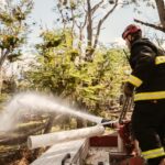 Incendio en el corazón de la isla: Melella afirmó que se hace todo lo posible y no se van a escatimar recursos