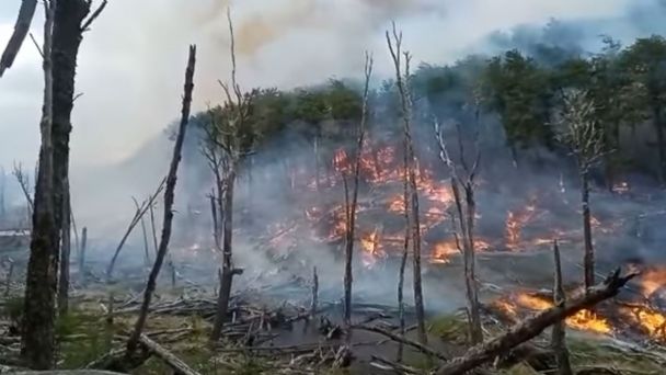 “En un caso así hay que actuar y no me explico tanta inacción ante la magnitud del incendio para que llegara a este grado. Nosotros no tenemos los aparatos para determinar la dirección del viento, y lo que rescato es la colaboración de los bomberos, no de los funcionarios, que más o menos nos han orientado”, señaló.