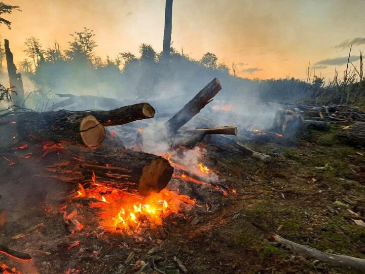 Noelia Ruiz, una de las propietarias de la estancia afectada por el incendio, expuso por Radio Provincia la realidad de lo que está ocurriendo cerca de Tolhuin, como también la indignación de familiares y amigos por las versiones oficiales que se dan a conocer por los medios y que no se corresponden con la realidad que están viviendo.