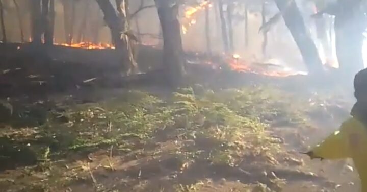 Aseguró que todos los elementos que anunciaron desde los distintos municipios y defensa civil que se enviaron a la zona, no llegaron. El grupo de familiares y amigos estuvo trabajando “con los elementos básicos que tenían y se siguió sumando otra gente amiga con mangueras, con bombeadores de agua y tanques. Nosotros tenemos una cabaña grande para 19 personas donde fueron los funcionarios y no llegó ningún tipo de colchón -que fue anunciado por el municipio de Ushuaia-”-.