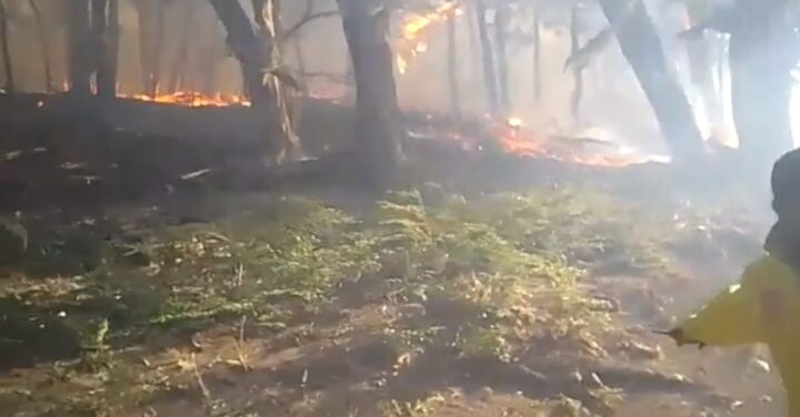 Aseguró que todos los elementos que anunciaron desde los distintos municipios y defensa civil que se enviaron a la zona, no llegaron. El grupo de familiares y amigos estuvo trabajando “con los elementos básicos que tenían y se siguió sumando otra gente amiga con mangueras, con bombeadores de agua y tanques. Nosotros tenemos una cabaña grande para 19 personas donde fueron los funcionarios y no llegó ningún tipo de colchón -que fue anunciado por el municipio de Ushuaia-”-.