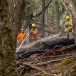 Recuerdan que continúa la prohibición de hacer uso del fuego en zonas agrestes