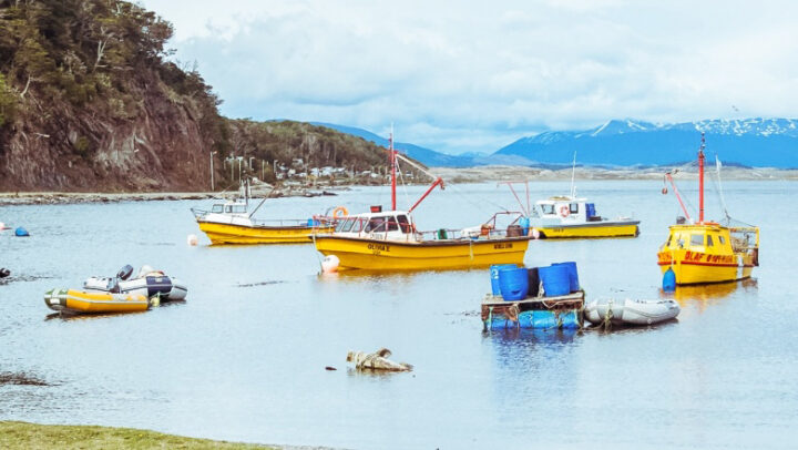 “Tenemos 20 kilómetros de costa y se ha puesto en foco el puerto en Almanza, que se viene posicionando como un punto turístico. Es un lugar para recorrer para los que vienen a Tierra del Fuego, porque es el pueblo más austral de la Argentina, y estamos a 5 kilómetros de Puerto Williams”, subrayó Hugo Peralta.