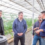 El Municipio de Río Grande cerca de la primera producción propia de tomates