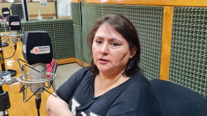 Beatriz Salas observó que “desde el gobierno del MPF hasta ahora, no vemos rumbo en la economía provincial, el uso de los recursos naturales, el empleo, y fueron todos temas tratados en el espíritu de la convención constituyente provincial”.