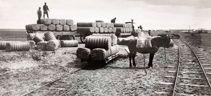 El Banco Nación fue al mismo tiempo un elemento de integración nacional, facilitando la circulación de la moneda argentina en esta zona de frontera donde con antelación circulaban divisas extranjeras.