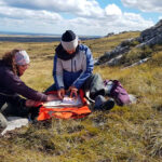 Especialistas del CONICET viajaron a las Islas Malvinas para estudiar el origen y la evolución de plantas, arácnidos e insectos de la región