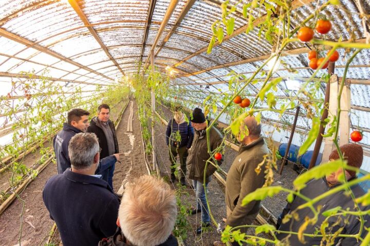 El intendente Martín Pérez, autoridades de Nación y del BID evaluaron los avances en materia de soberanía alimentaria y producción local.