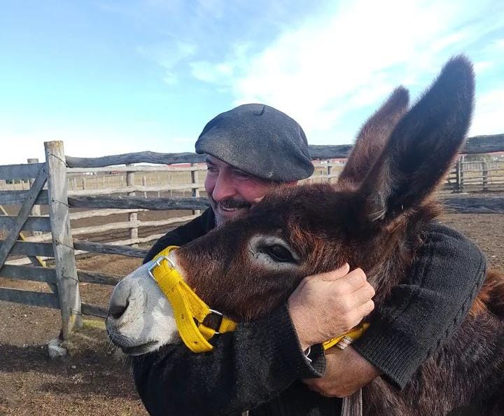 Tomás Ayerza, uno de los propietarios de Estancia Viamonte, dialogó con Radio Universidad 93.5 y Diario Provincia 23 sobre toda una novedad para la zona, como lo constituye el arribo de burros a Tierra del Fuego para proteger el ganado ovino específicamente.