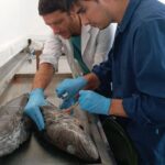 Pablo Blanco convocó a autoridades por la pesca irregular de Merluza Negra