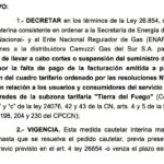 Borruto prohibió a Camuzzi cortar el gas por la falta de pago