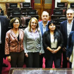 Senadores pidieron un ‘patagonazo’ contra la Ley Bases