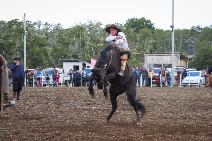 gauchos4