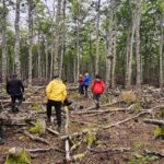 Productores participaron de una jornada de ordenamiento forestal orientada al desarrollo productivo sostenible