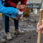 El Servicio Penitenciario inició junto al INTA un proyecto para desarrollar el cultivo local de ajo violeta