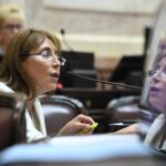 “Más que Ficha Limpia, es una mancha para la democracia”, afirmó la senadora Cristina López