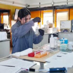 Investigación de la UNTDF amplía la base de datos de ADN ambiental de peces del Canal Beagle