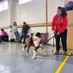 Tolhuin cerró con éxito el Taller de Educación Canina y Cuidado Responsable