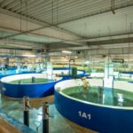 “Los límites estarán más dados por cuestiones económicas que por cuestiones biológicas”