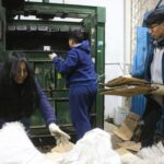 Jornadas educativas municipales por el Día Mundial del Medio Ambiente en Tolhuin