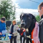 A un año de la emergencia zoonótica, el Municipio de Tolhuin presentó el informe de gestión en salud veterinaria y desarrollo sostenible