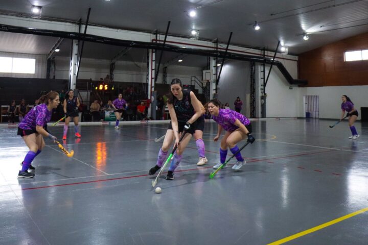 hockey004