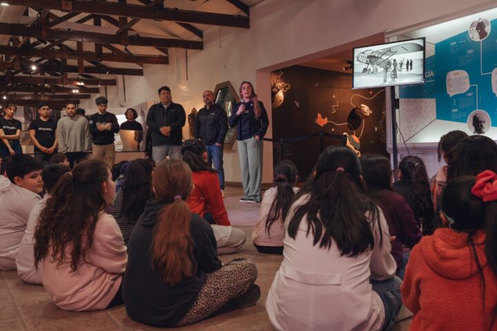 MUSEO08