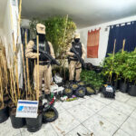 Río Grande: Prefectura realizó cinco allanamientos por tráfico de drogas