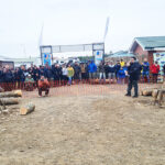 Pampa Guanaco estalla de integración: multitud argentina transforma la Fiesta del Guanaco en un hito internacional