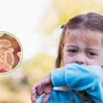 Salud desmiente información sobre supuestos casos fatales de coqueluche en Ushuaia