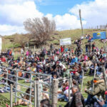 Capacitaciones, espectáculos y sabores locales en la 5ª Expo Agroproductiva