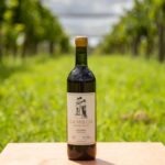 Se viene el vino más austral del mundo: inversores argentinos lanzan una bodega en Ushuaia