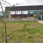 El “Minibosque urbano” de la UTN ya es una realidad