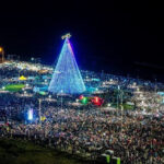 Así será la fiesta municipal del encendido del arbolito