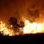Incendios en la Patagonia: fuerte respaldo empresario al pedido de Emergencia Ígnea