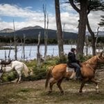 Península Mitre: cuatriciclos, cabalgatas y una ley que nunca bajó al territorio