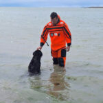 Personal de Prefectura rescató a un perro atrapado por la marea en Río Grande