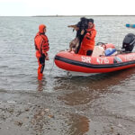 Prefectura rescató a tres perros atrapados por la marea en Río Grande