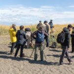 El Municipio de Río Grande acompañó una capacitación científica clave para la conversación de aves migratorias en la costa de la ciudad