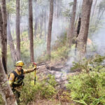 Tierra del Fuego envió brigadistas para combatir el incendio en el Parque Nacional Los Alerces