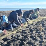 Río Grande, una escala clave en el mapa de las aves migratorias del continente