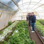 Río Grande impulsa la primera chacra agroexperimental municipal de Tierra del Fuego para fortalecer la producción local