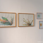 Del fin del mundo al corazón de la Patagonia: las muestras fueguinas que comienzan a recorrer el país