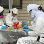 Descartan que Ushuaia haya sido el origen de los casos de hantavirus detectados en el crucero MV Hondius