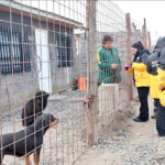 El Municipio de Río Grande continúa acercando los servicios veterinarios a los barrios