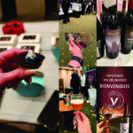 Expovino del Fin del Mundo agotó entradas en su 12ª edición y confirmó su próximo encuentro de destilados y coctelería